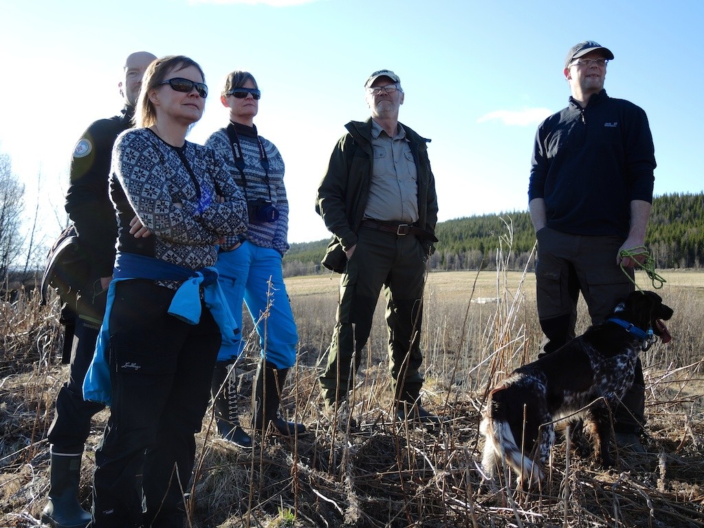 Lierne, Norway. Stakeholders