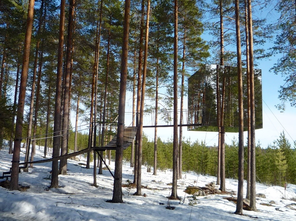 Tree Hotel